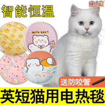 British Short Milk White Blue White Kitty Special Thermostatic Electric Blanket Nest Winter Heating Electric Bedding Heating Mat waterproof bite