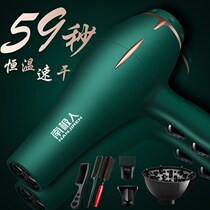 Hair dryer home high-power student dormitory negative ion hair care barber shop Hotel small blower