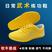 Spring and Autumn Canvas Taiji Shoes Women Mens Winter Cloth Shoes Childrens Martial Shoes Tai Chi Special Shoes Practice Shoes
