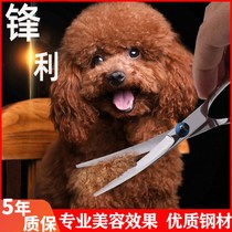 Dog Shearing Pet Dog Beauty Scissors Professional Dog Teddy Dog Hair Curved Trim Tool Special Set