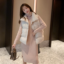 PhKh2021 Spring and Autumn new vest coat Korean version Joker casual short horse clip down cotton women