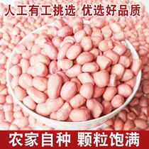 2021 Fresh Pink Peanut Peanuts 5 Jin New Products Farmers Self-produced Unshelled Peanut Oil
