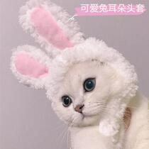Shake sound net red pet cat rabbit ear headgear warm hat cute funny photo headdress
