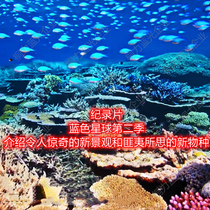 HD documentary underwater visual feast Blue Planet 2 Blue Planet II Original Soundtrack