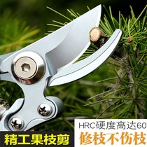 Fruit branch scissors horticultural pruning garden special scissors labor-saving Flower Branch scissors household tools Special Branch scissors