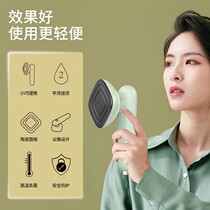 Mrs. Meow hand-held ironing machine portable iron hot bucket travel ironing machine small dormitory household ironing clothes