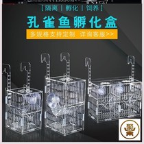 Guppies breeding box acrylic incubator box delivery room incubator small fish separator breeding box fish tank isolation box