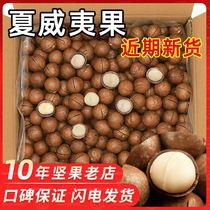 Three squirrels New Hawaiian Fruit childrens snacks milk fragrant nuts whole box 5kg creamy dried fruit