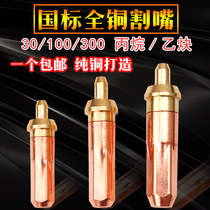 Gas cutting gun accessories national standard acetylene propane gas liquefied gas cutting gun accessories cutting nozzle g01-30 ring type