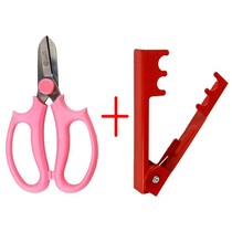 Stabbing pliers flower arrangement scissors flowers flowers flowers flowers flowers flowers flowers flowers flowers flowers flowers thorns clips flowers flowers