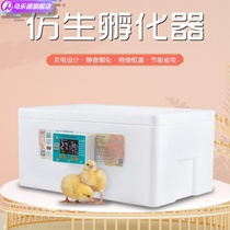 Large parrot bird egg goose egg small egg waterbed incubator box machine small household type homemade accessories full set