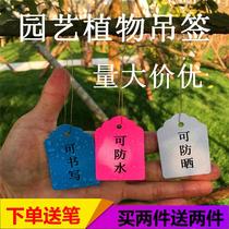 Gardening tag tag tag lanyard identification multi-meat tag flower seedling bundle flower garden green plant plastic sign