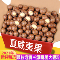 Hawaiian fruit 500g nuts bagged cream dried snacks Snacks dried fruit bulk weighing box 5kg