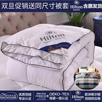Export Hilton Hotel duvet winter quilt thick warm feather velvet spring and autumn summer quilt single double student quilt
