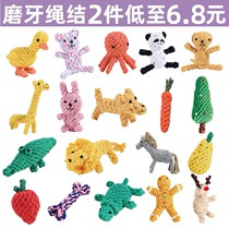 Dog toy molars bite-resistant bear Bomei knot toy milk dog dog dog dog bite Glue supplies