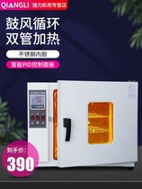 Electric blast drying oven oven industrial laboratory constant temperature oven double door front and rear door high temperature drying box