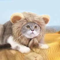 Lion turned into a hat word funny dog hat cat hat pet hat warm autumn and winter Teddy than bear fight