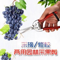 Household stainless steel Pruning Fruit tree pruning shears knife horticultural cutting branches garden flower Repairing plant pepper picking tool artifact