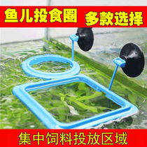 Buoyancy small fish feeder feeding ring aquarium fish food fish feeding ring fish feeding ring