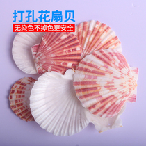 Natural sea snail shells perforated flowers fan bay Artisanal Wind Bells Material Diy Mediterranean Fish Tank Aquatic Goods Decoration