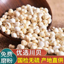 Selected Fritillaria Fritillariae Sichuan Fritillariae Powder Non-traditional Chinese Medicine Pine Fritillariae 50g Non -500 Super Wild