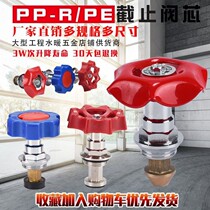 PPR globe valve spool PE valve core boutique copper spool 20 25 32 lifting valve spool plumbing accessories