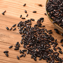 Grain Year Long Northeast Five Changyuan Original Ecological New Rice Black Rice Cereals Black Rice Porridge Materials 5