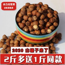 Food 21 new northeast small hazelnut Tieling mountain hazelnut wild zhenzi big grain nuts 500g