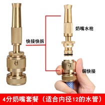 Car washing tool portable all-copper high-pressure water gun watering nozzle household multi-function brush water spray gun