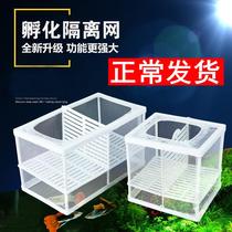 Fish Tank Aquarium Isolators Isolated Box Mesh Incubators Peacock Fish Mini Parrot Breeding Boxes