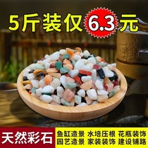 Natural multicolored flowers stone white stone paved fish tank landscape flower decoration Villa paving decoration