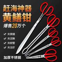 Catch crab clip pliers artifact sea special tool set seaside eel Loach yellow field eel clip stainless steel