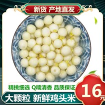 2022 Fresh chicken chicken Mi - Shi Mi - Suzhou Suzhou fresh chicken rice