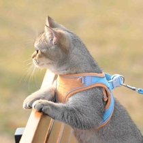 Cat leash home vest-style chest strap cute and anti-Break Free Walking cat rope dog sneak cat chain pet