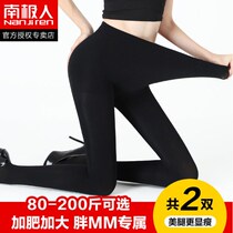 Antarctic people spring and autumn thick stockings pantyhose flesh color anti-hook Silk plus fat increase 200 jin thin bottom pants