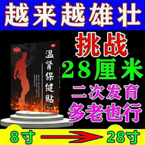(Persistent) warm kidney appliqued kidney health care post mens support for mens hard heel Tonic Bully Royal Whip Special Strong Kidney Sticker