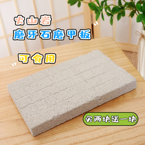 Rabbit Rabbit Volcanic Rock Grinding Deck Grindstone Guinea Pig Dragon Cat Snow Minke Parrot Degrosting Toy Groveling Plate Planing Floor