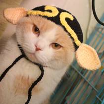 Pig eight ring cat headgear cute pet wool hat cross-dressing hat funny cat headgear short beauty cat headgear