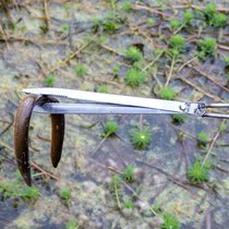 New anti-slip yellow eel clamping mud loach finless eel pliers for sea deity Stainless Steel Clamp Serpent Lengthened Clip Rubbish Clip Tool