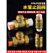 PPR water pipe check valve PE double movable check valve tap water pipe water meter check valve copper horizontal vertical 4 minutes 20