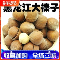Big hazelnuts new original sugar-free opening cooked hazelnuts pregnant women nuts fried goods northeast specialty snacks bulk 500g