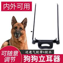 Dog standing ear artifact Dubbin De herd dog wolf dog ear correction patch auxiliary device vertical ear device for large dogs