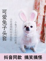 Cat lion headgear frog headdress cat knit hat rabbit decoration cute thread hat funny dress wool hat