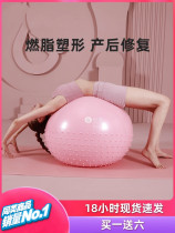 Girls professional yoga ball fitness ball pregnant women special midwifery early education Big Dragon Ball children training weight loss balance ball