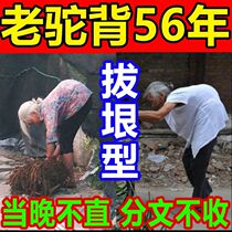 Treatment of humpback stick artifact (100% must be corrected) with chest humpback spine deformation bending stiffness special effect of traditional Chinese medicine stick