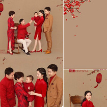 New Year's family photo festive oil painting background cloth photography studio shooting props spray painting background New Year's atmosphere imitation hand-painted meticulous painting lantern indoor photography Chinese wind background cloth photography curtain