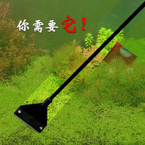 Water Grass Fish Tank Scraping Algae Knife Small Dead Angle Brush Cleaning clean long handle cleaning Divine Instrumental Tool Apart Blade Sea