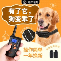 Electric shock dog called stop bark miniature prevention of remote control neck ring Puppy dog item ring nuisance dog anti-call training training dog deity