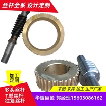 Non-standard worm gear custom-made multi-head worm gear bronze worm gear steel stainless steel nylon worm gear processing factory