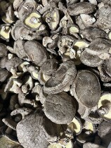 (Take 2 minus 5 yuan ; two automatic reduction ) years ago the winter thick mushroom 200g Zhongtong